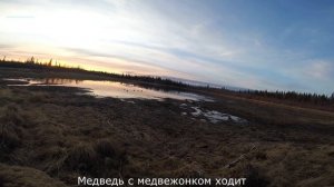 экстремальная охота в якутии