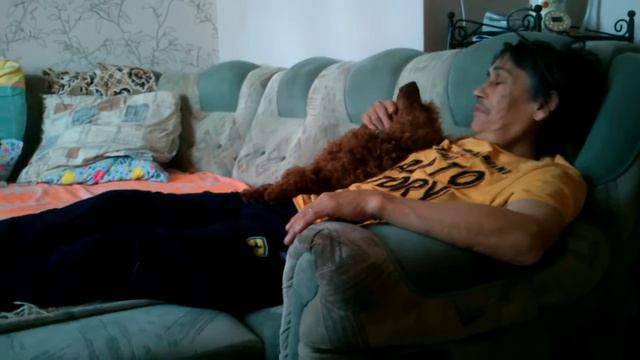 Пуделиное счастье.  Воскресный день смотреть онлайн