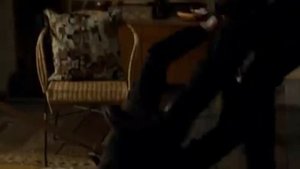Неизвестный 2011 DUAL BDRip XviD AC3 HQ ViDEO