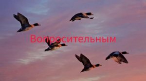 Дневник приёмной мамы/Обзор.