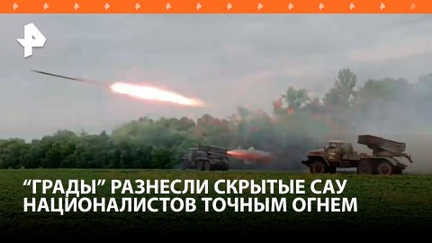 Российские военные с помощью РСЗО "Град" уничтожили замаскированные САУ националистов / РЕН Новости