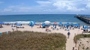 Что обещают приметы при появлении на балконе осиного гнезда?