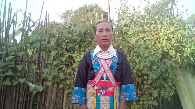 kwv txhiaj tau poj sev tsis zoo os 22/8/2023 смотреть онлайн