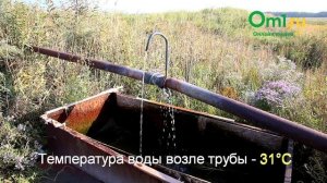 Горячий источник возле деревни Падь. Омский район