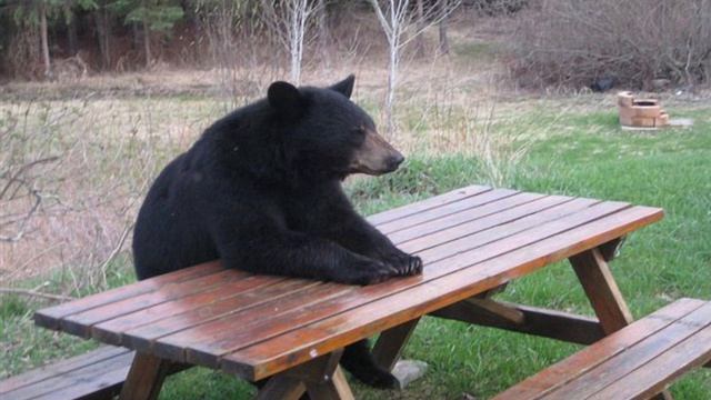 СПБ - Меладзе смотреть онлайн