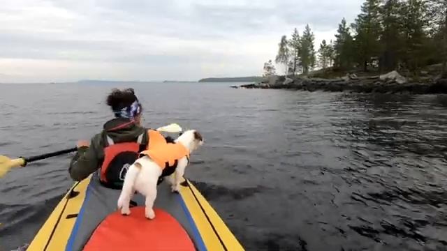 #29 Острова архипелага Филин | Каликорва на встречу мечте 2022 смотреть онлайн