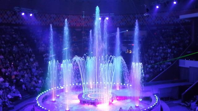 VID_20240815_203812.mp4