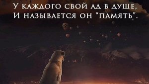 Цитаты о жизни #2