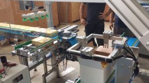 Робот для упаковки в коробки | роботизация производства | фасовка чая