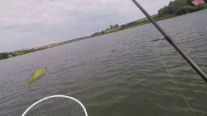 Ловля щуки на  ратлины