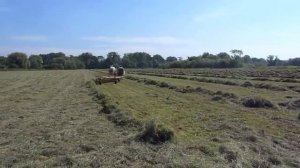 Percheron Horses Hay Making