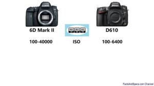 Canon EOS 6D Mark II vs Nikon D610