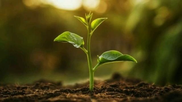 Кто живёт под покровом Всевышнего [христианская песня] смотреть онлайн