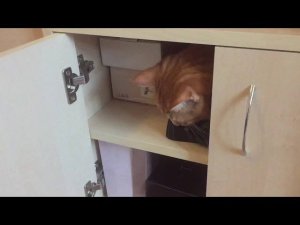 #RR# Мебель своими руками без переплат. Часть 3: примеры мебели