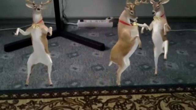 Смешные олени смотреть онлайн