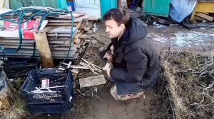 Заготовка дров. Сбор валежника.     #папанадаче
