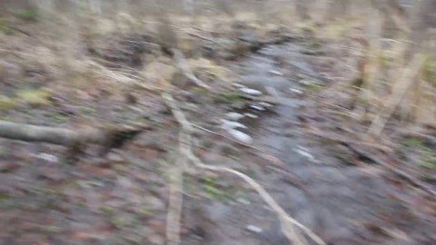 северодвинск снт север