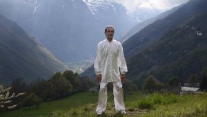5 MIN DAILY QI GONG FOR BEGINNERS - Easy, Natural and Pleasant Movements to Collect Qi and Relax