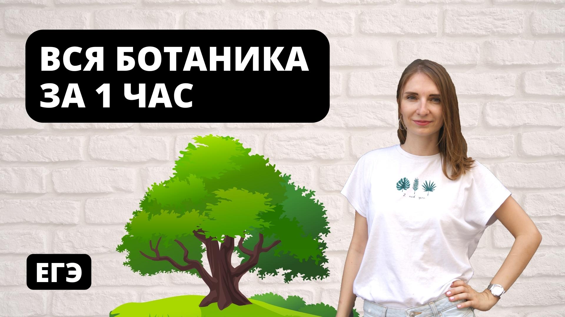 Вся Ботаника за 1 час