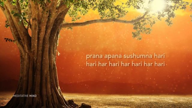 MAGICAL HEALING MANTRA - Prana Apana Sushumna Hari Meditation.
