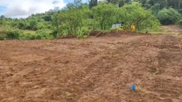 BLOOMFIELD TERRACES CONSTRUCTION UPDATE 11/12/2022 смотреть онлайн