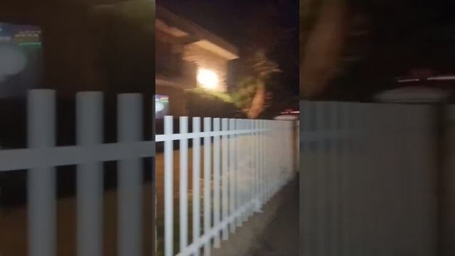Первое рождество в штатах. Прогулялись по нашему району. Лос-Анджелес.
