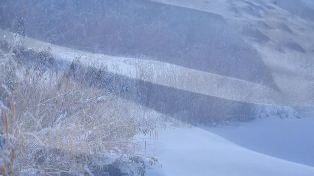 Фотовыставка Марии Аладьиной  "зеркала " 2017