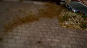 Воздуходувка RYOBI RBV 3000