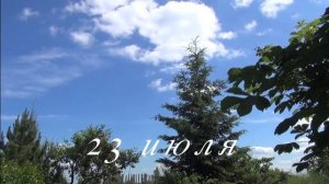Черешня Владимирской области