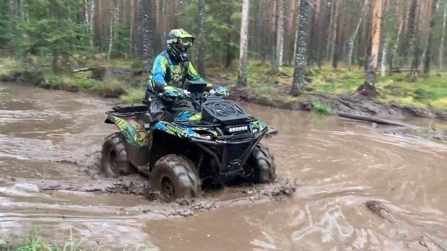 Двухместная Yamaha Grizzly