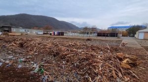 АРХИПО-ОСИПОВКА. ПЛЯЖИ СМЫЛО ШТОРМАМИ...