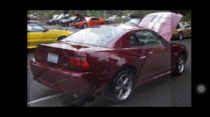 40th Anniversary Mustang Package 2004 Mustangs