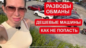 Лиса рулит - подборы, топ авто и советы