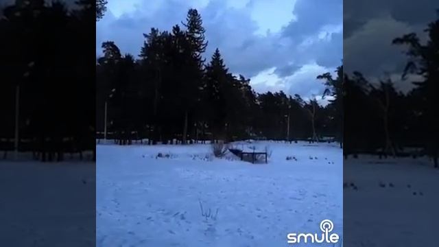 На белом, белом покрывале января... смотреть онлайн