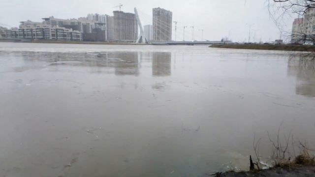 Санкт-Петербург. Южно-Приморский парк. Дудергофский канал. 26.01.2020.