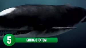 МЕГАЛОДОН ЖИВ! 10 ШОКИРУЮЩИХ ФАКТОВ И ВИДЕО!