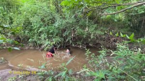 Encountered giant anaconda while catching fish - Survival in the forest - Fishing video