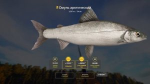 Русская рыбалка 4 Омуль арктический!