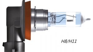 Отличие автомобильных ламп PSX24W от PSX26W, цоколь H16