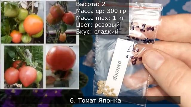 Коллекционные сорта томатов, работяги на 2022 год, есть крупноплодные и урожайные, часть 2