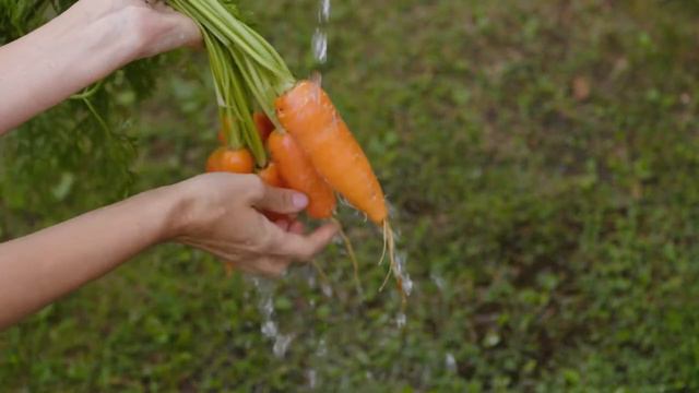 Овощи для детей, часть 1. Учим названия разных овощей и узнаем, как они растут. смотреть онлайн