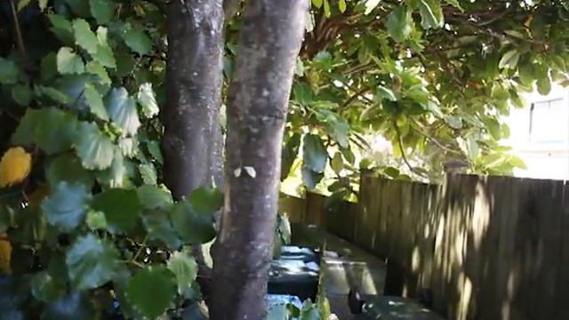 Apix смотреть онлайн