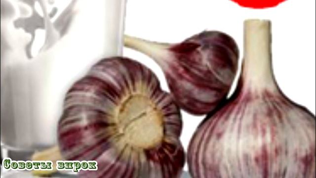 ➤ Здоровье ➤ Ешьте чеснок каждое утро! ➤