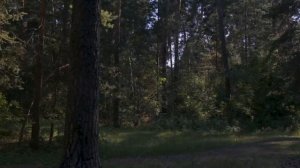 Моховые Горы (Бор, Нижегородская область)