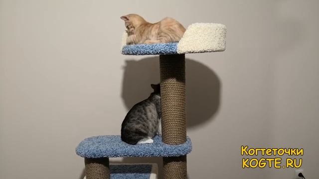 Игровой комплекс когтеточка для кошки k 028 kogte.ru
