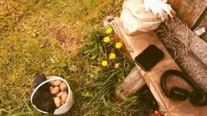 Мотоблок Угра с полноприводным адаптером