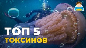 Топ 5 токсинов, которые украли животные | Plushkin