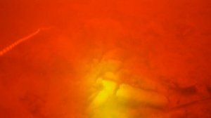 Река Сясь.Форель.Подводная охота.Fail.