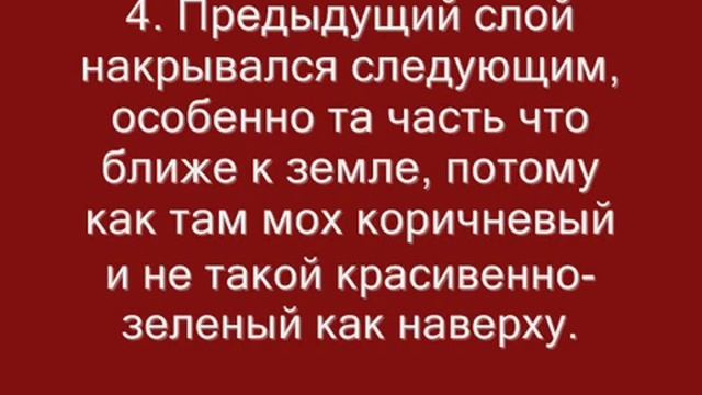 Мастер класс - лесной фонарик для дачи своими руками