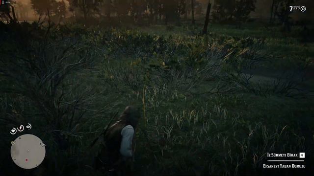 Red Dead Redemption 2: Efsanevi Domuz Rehberi #2 | #rdr2 #rdr2türkçe #rootz #rootzgaming смотреть онлайн